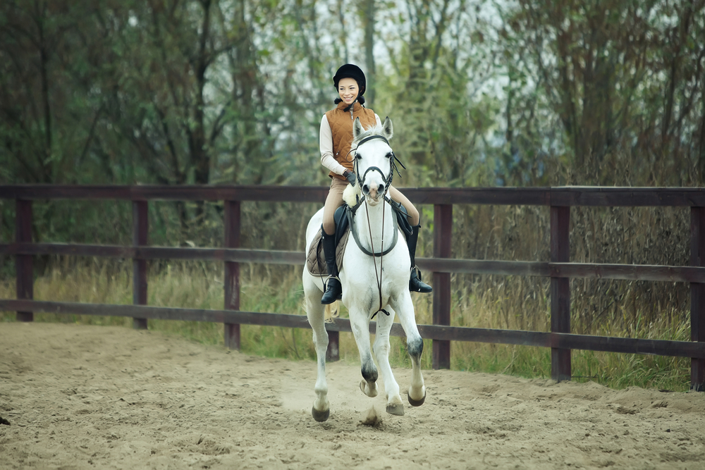 How Many Calories Do You Burn Riding A Horse? Equestrian Space