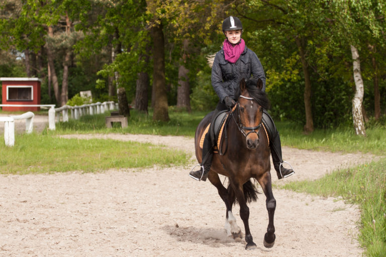 How Many Calories Do You Burn Riding A Horse? Equestrian Space