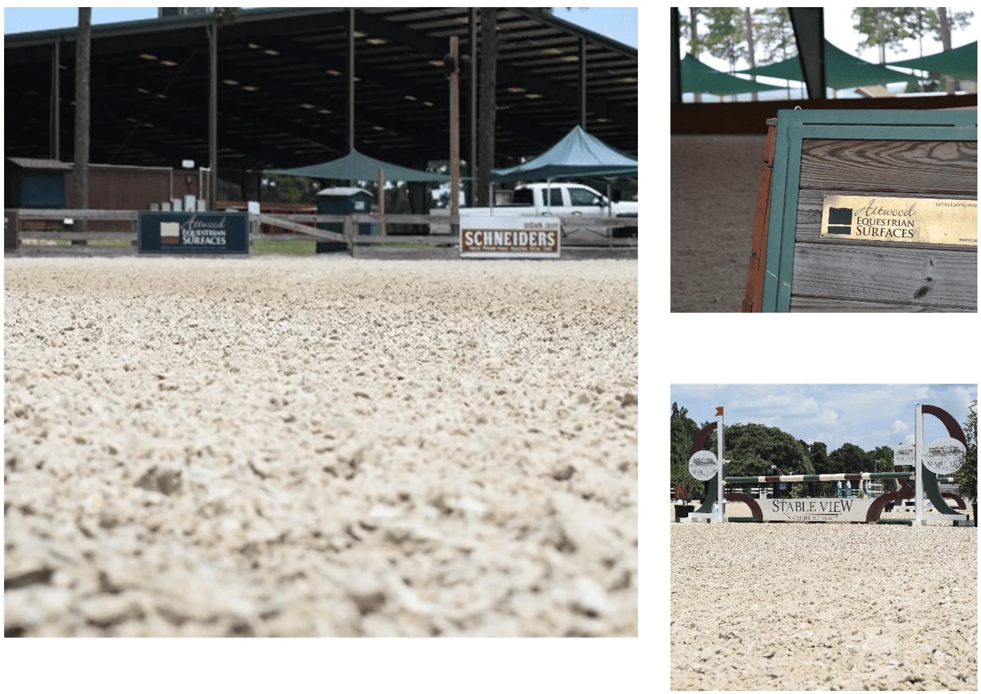 February 2024 Attwood Equestrian