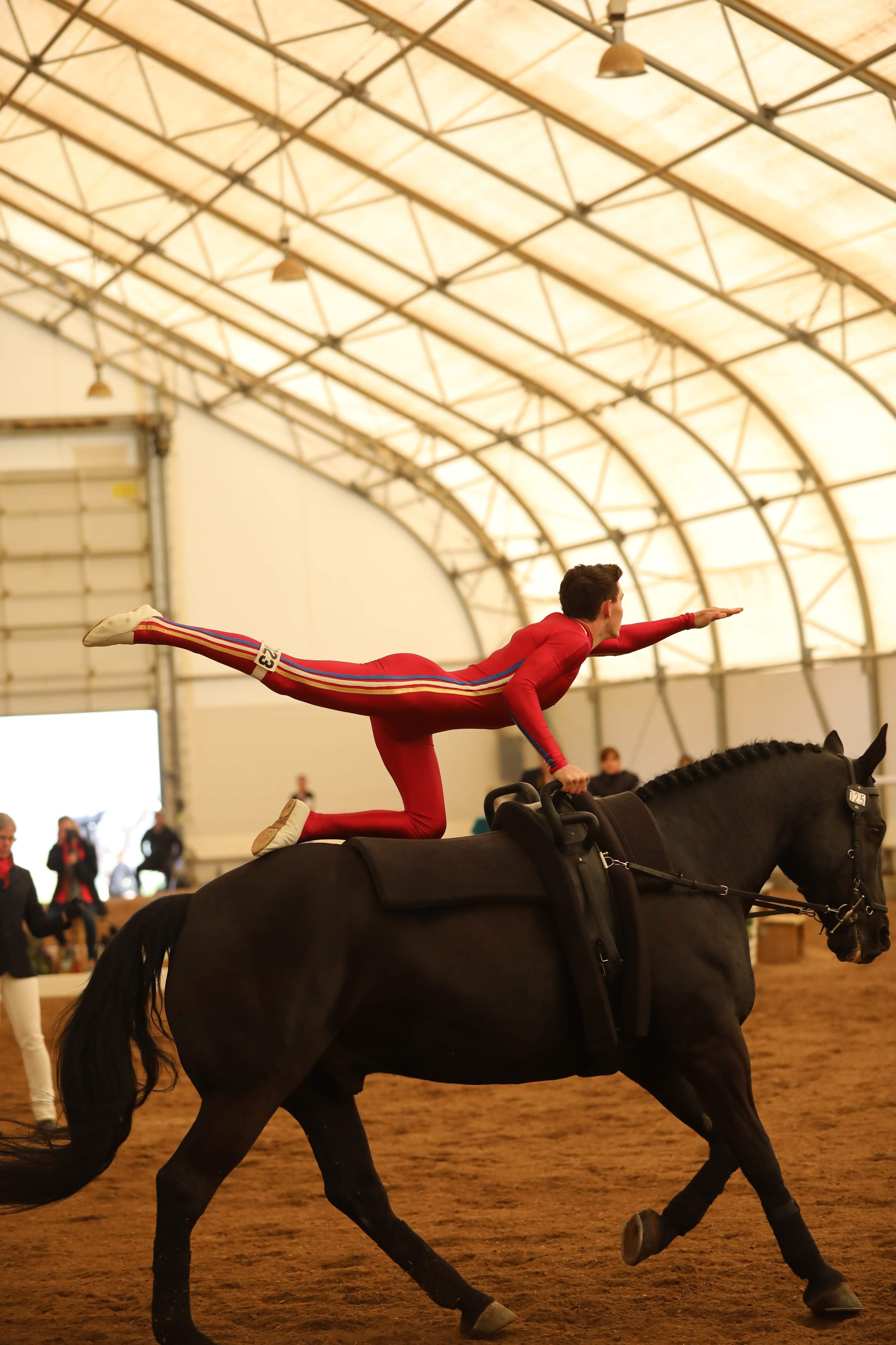 Equestrian Vaulting USA Equestrian Vaulting USA