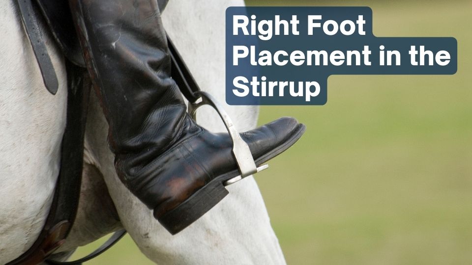 Mastering the Perfect Horse Riding Position Equestriguide