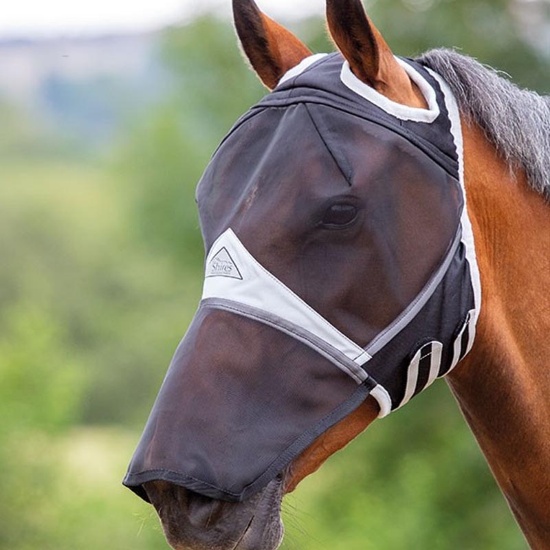 Can Horses See Through Fly Masks? Equestriguide