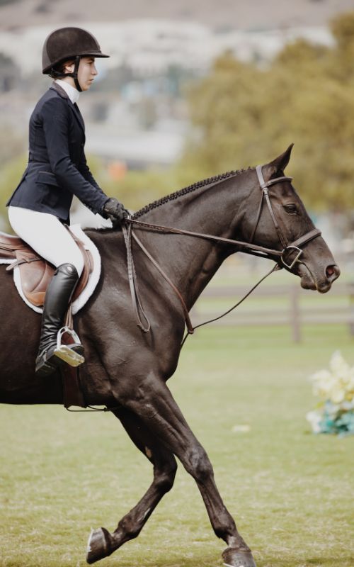 Equestrian Challenge