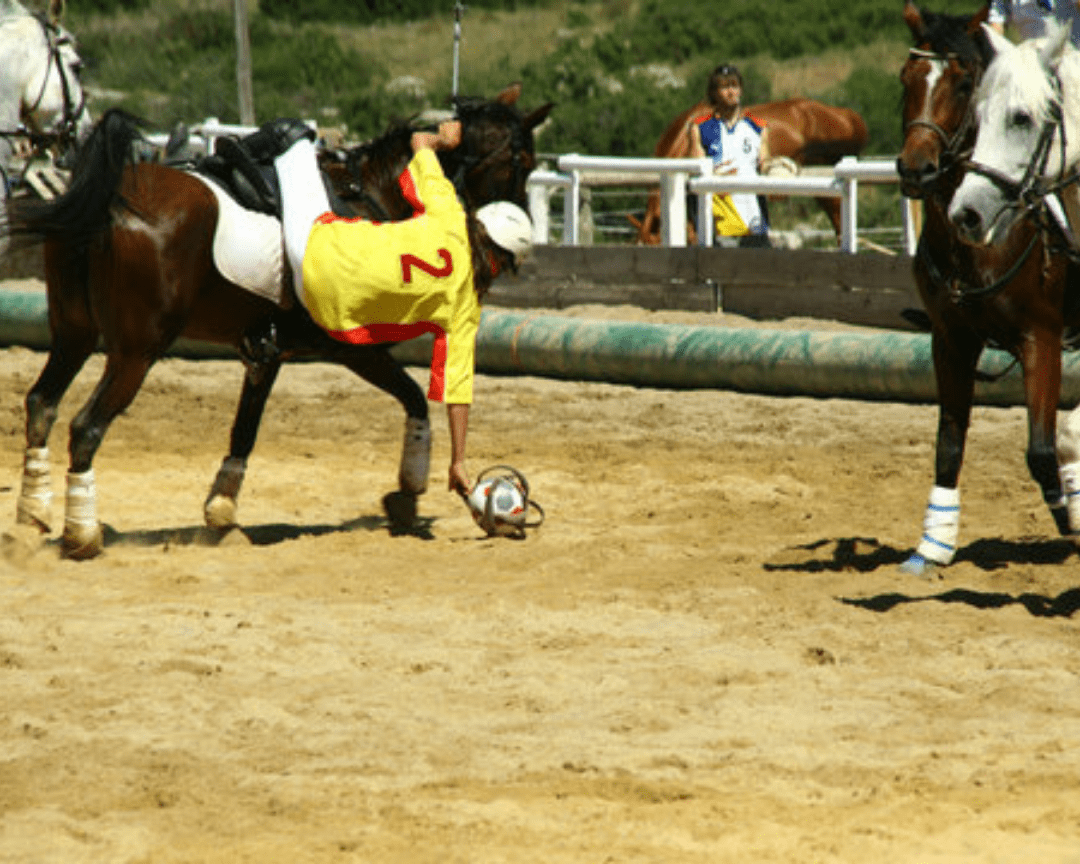 Le horseball histoire, équipement et règles Equidassur