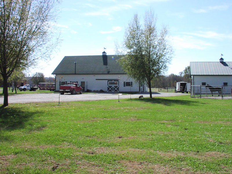 Eleven Point Equine Clinic, Birch Tree Missouri