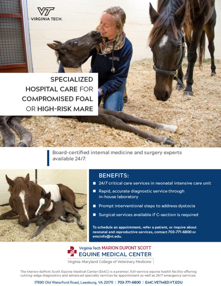 Specialized Hospital Care for Compromised Foal or HighRisk Mare