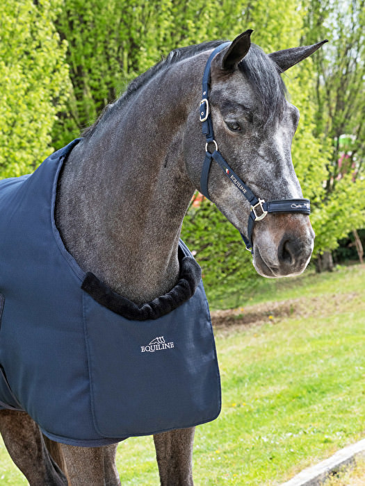 AntiRub Blanket Bib for Horses Rug Bib Equiline