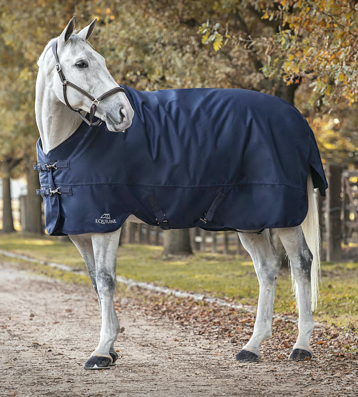 Calantha Heavy Weight Turnout Blanket 400g Horse Blanket