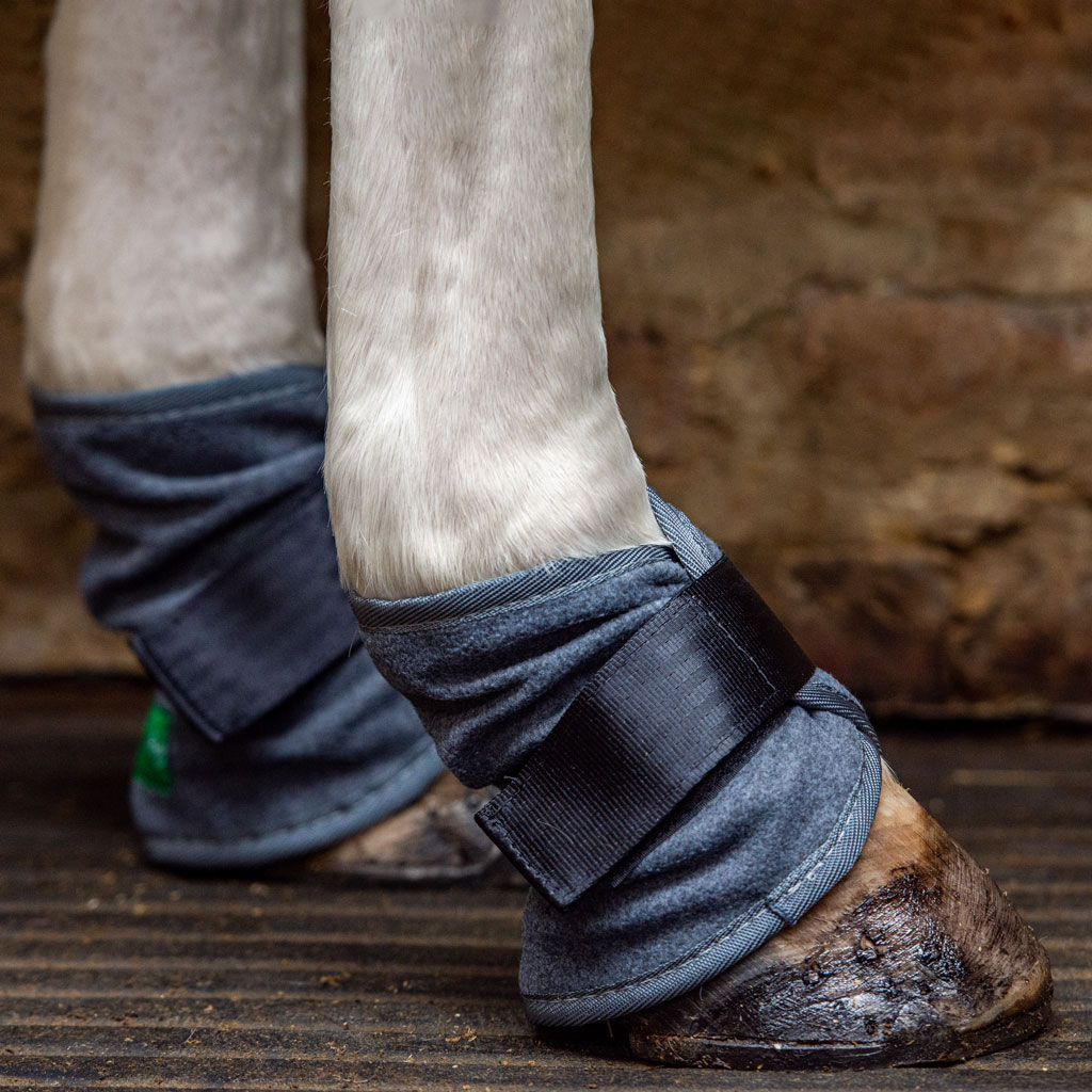 MediBac Pastern Boots (Pair) EquiMed Ag Ltd