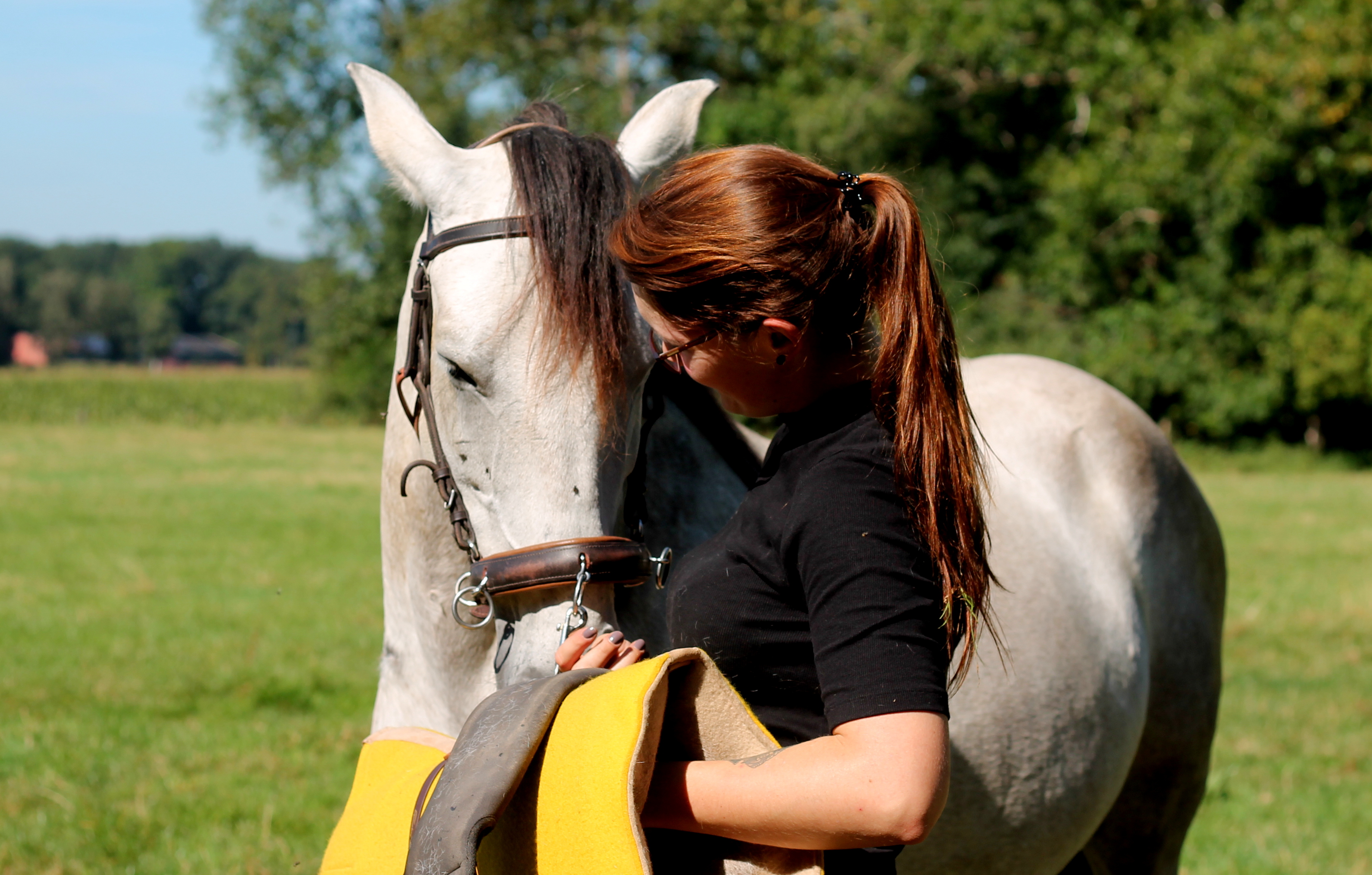 Equinality Jungpferde entspannt Anreiten
