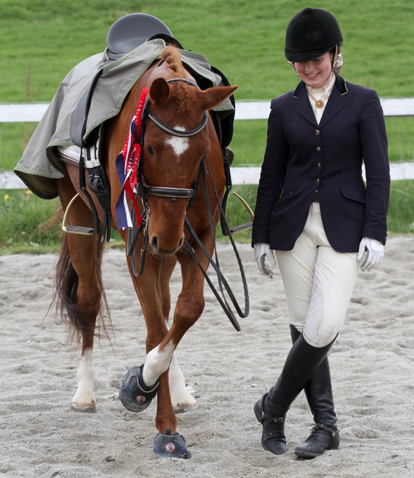 Equine Jogging Shoes » Ultimate Jogging Shoe