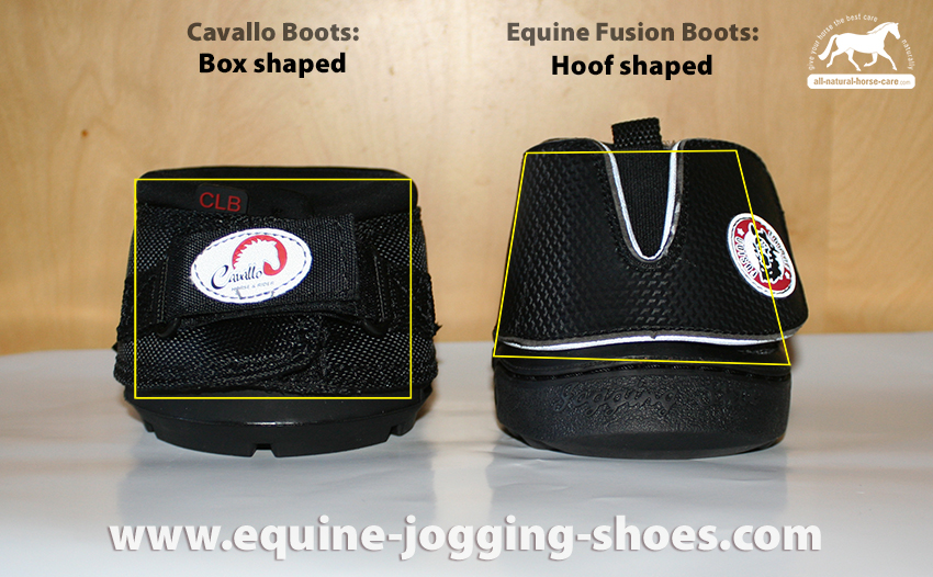 Equine Jogging Shoes » Comparison with Cavallos