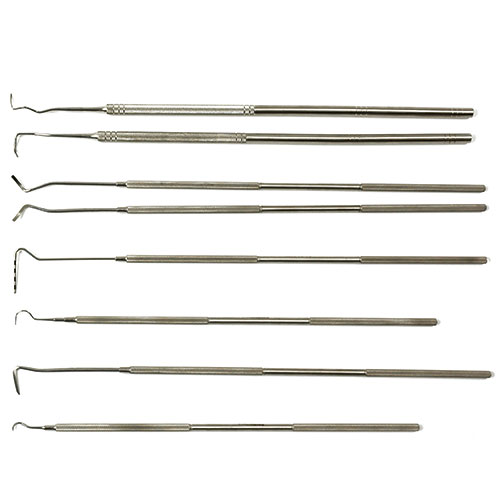 Dental Scaler Equine Blades Direct