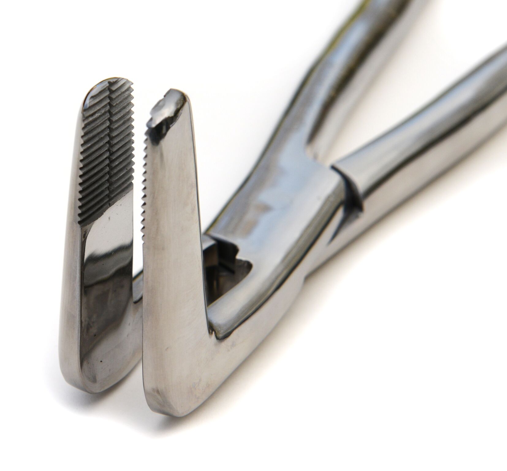 Root Fragment Forcep Equine Blades Direct