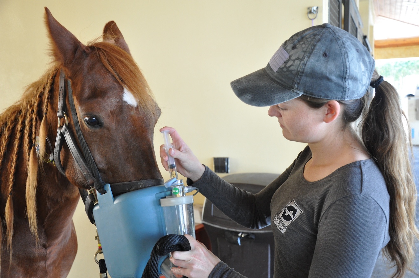 Palm Beach Equine Clinic Veterinary Technician Highlight Sarah Panico