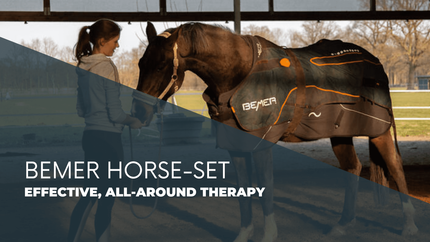 Our Store Business Tools for EquineAssisted Learning Equine Connection