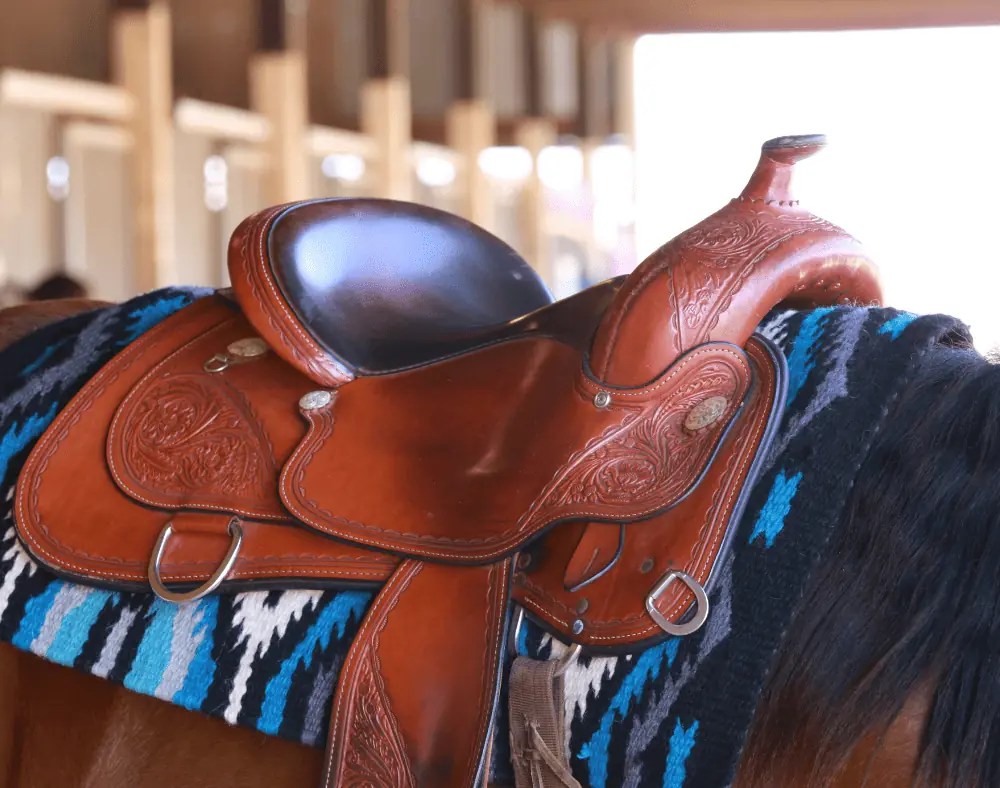 Measuring a Horse Saddle Everything You Need to Know