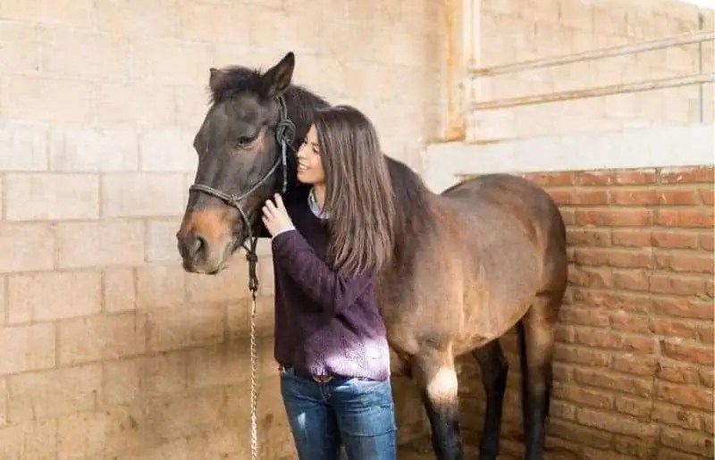 Buying a Horse At Auction (Helpful Tips & How It Works)