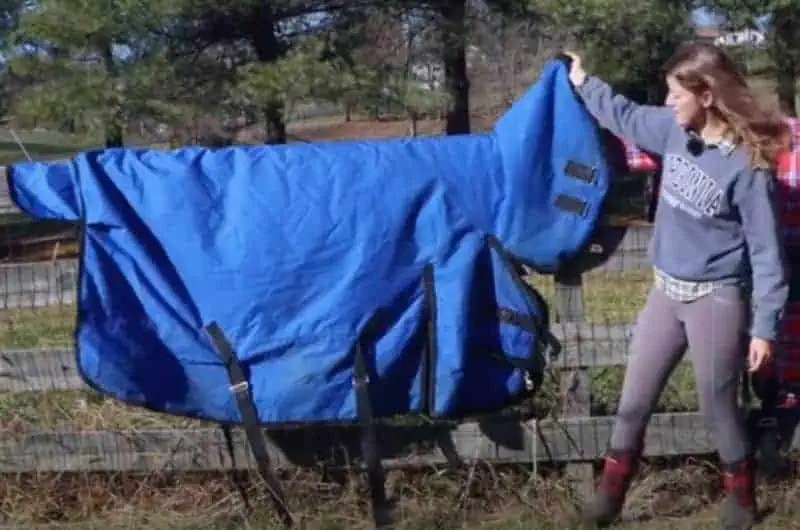Blanketing Your Horse HowTo With Pictures