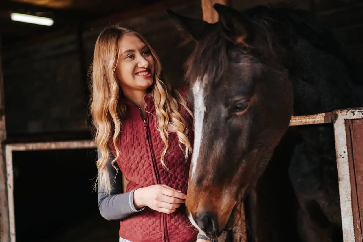 Find Equine Jobs Near You EquineHire