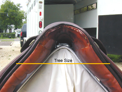 Evaluating Saddle Fit: Gullet Width - EQUINE Ink