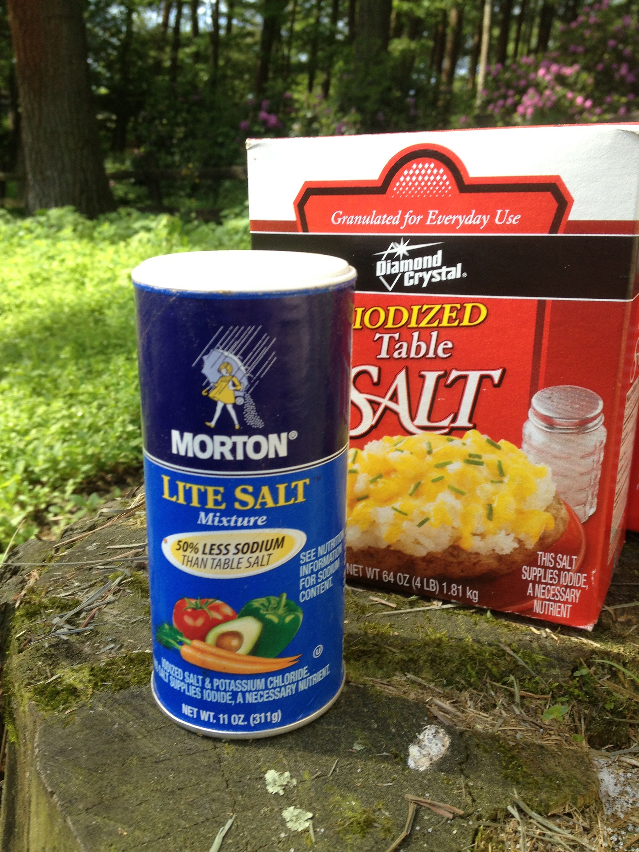 Make your own electrolytes EQUINE Ink