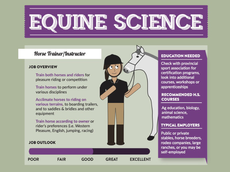 Top Paid Equine Jobs at Ralph Mays blog