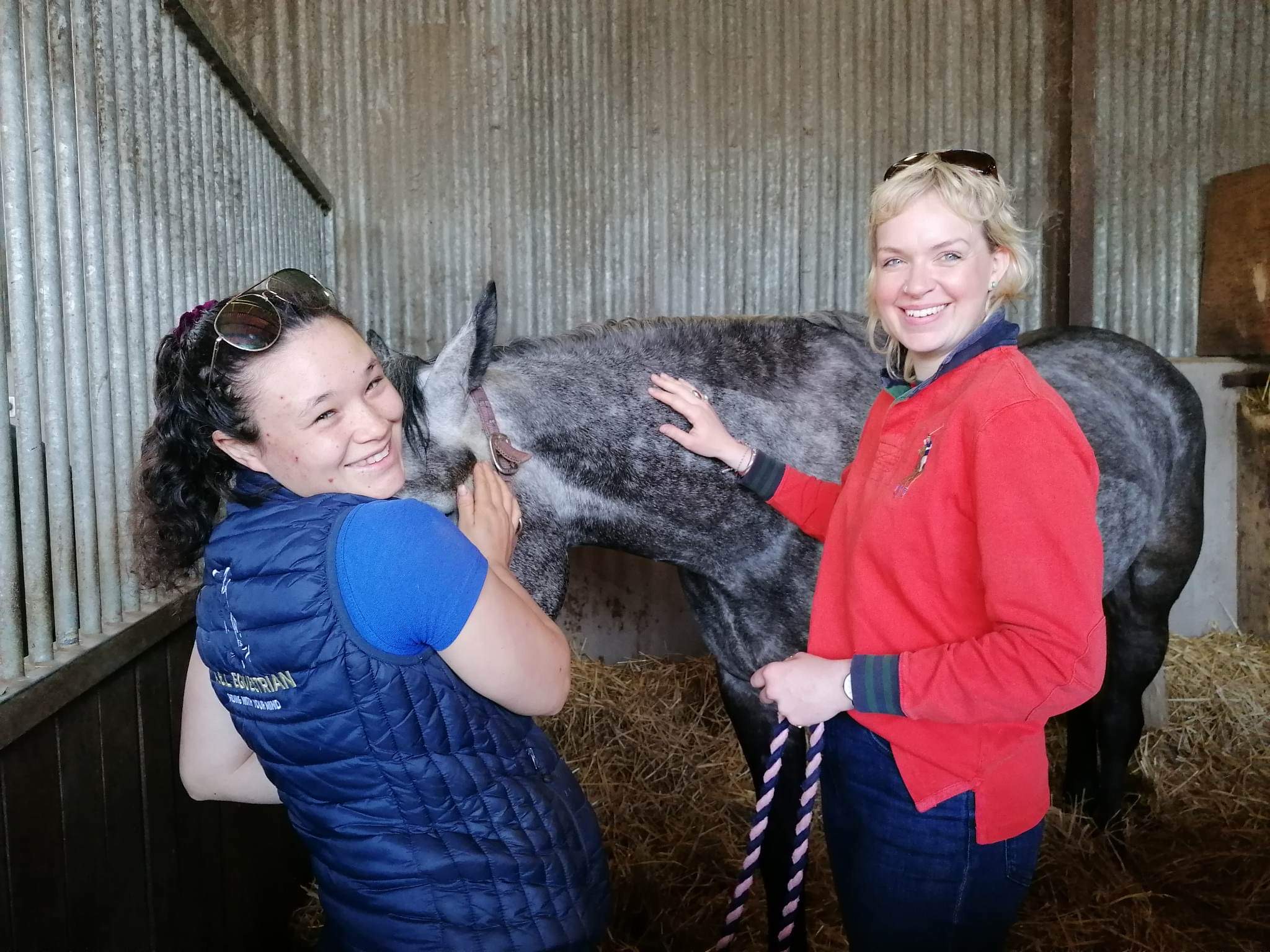 Our Students Equine Massage Training
