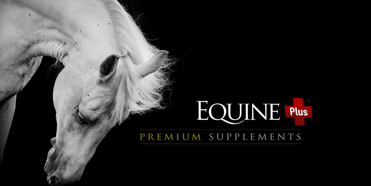 Equine Plus® Premium Nutritional Support Horse Supplements