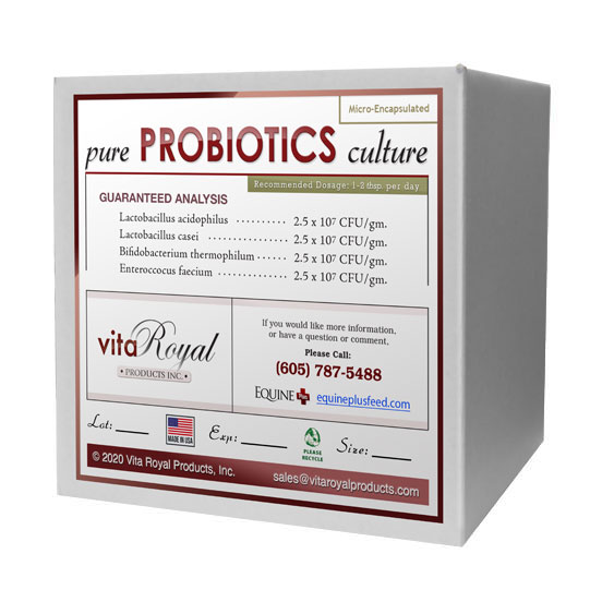 MicroEncapsulated Probiotics Supplement for Horses