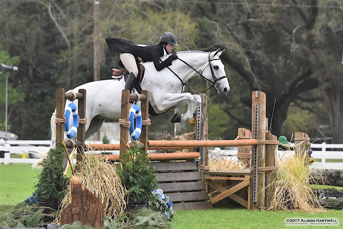 Home Barn Management Software Equine Simplified