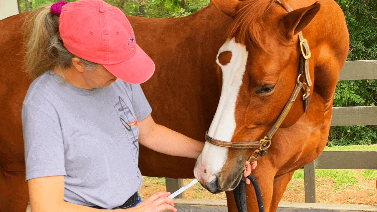 Giving Medicine to Horse Tips & Tricks Equine Simplified