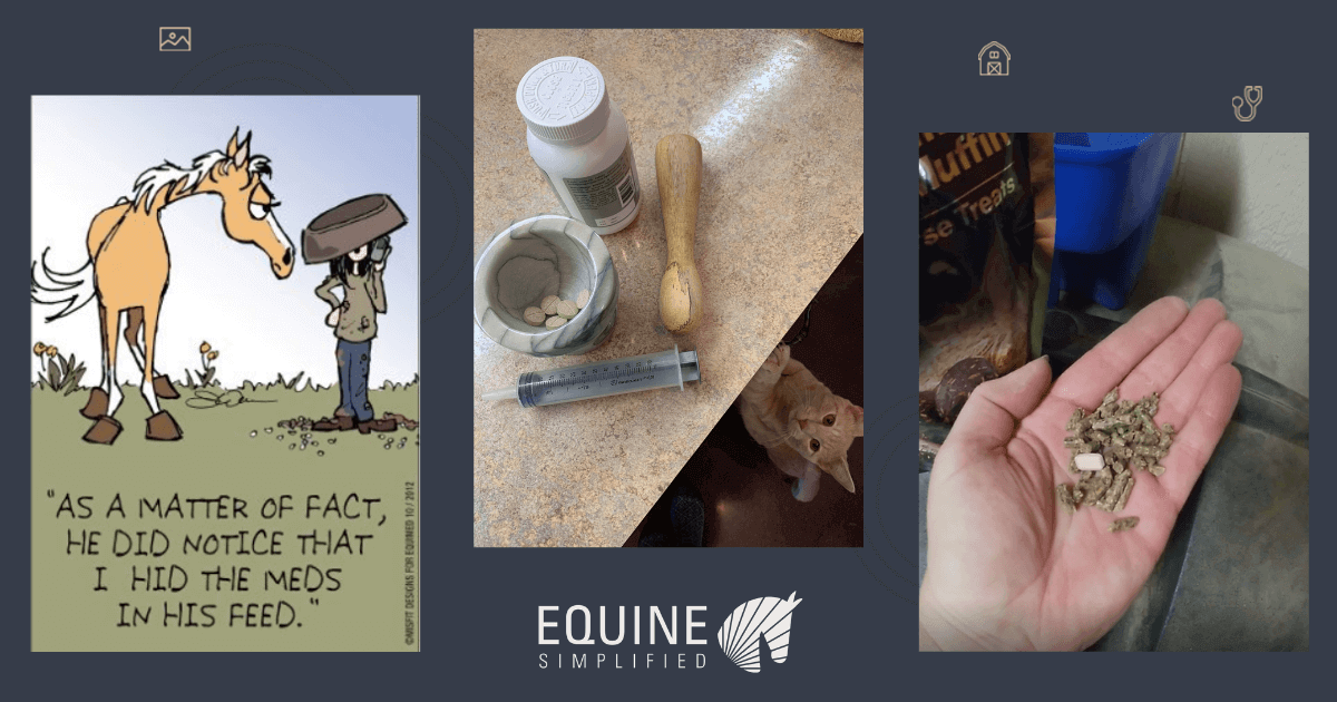 Giving Medicine to Horse Tips & Tricks Equine Simplified