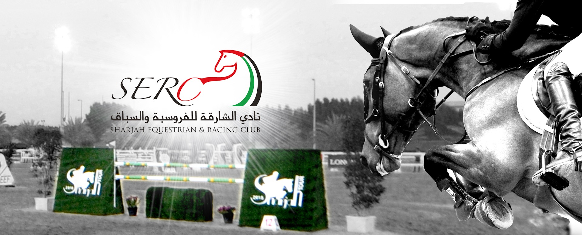 Home Equine Solutions