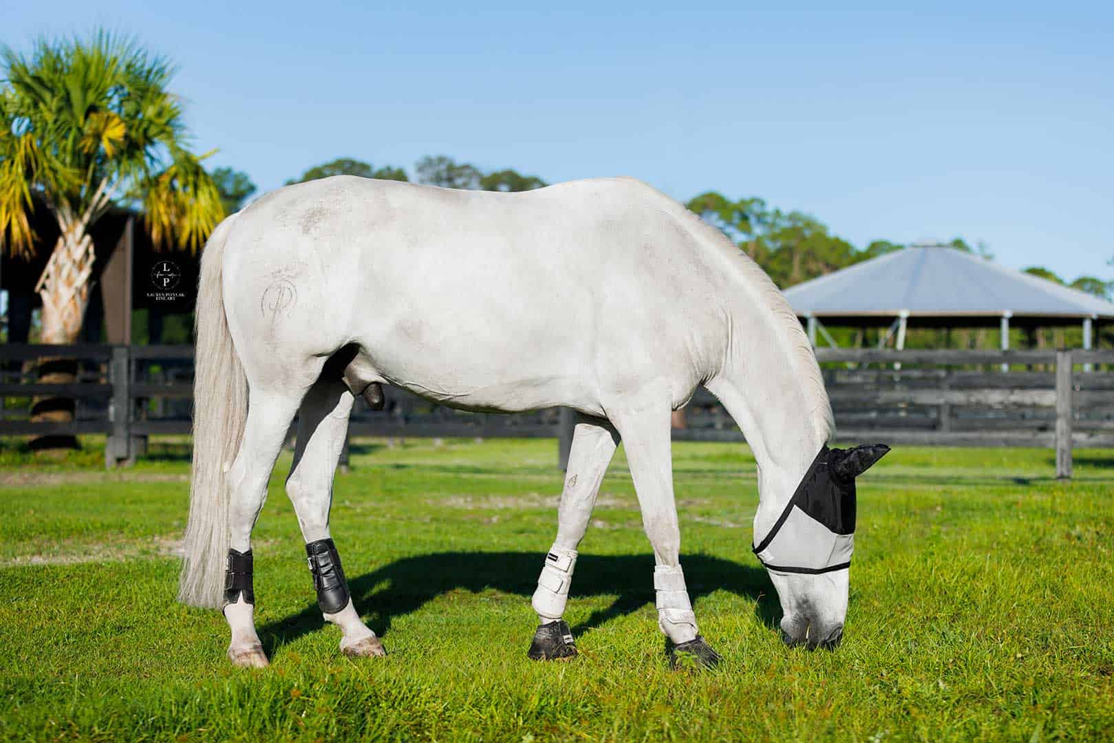 ESV Plus Equine Sun Visor