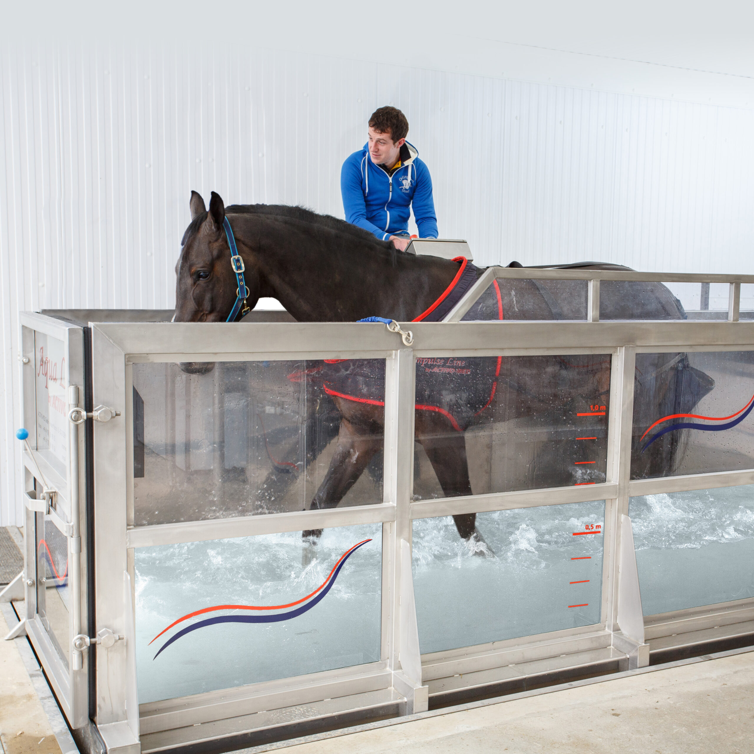 The Benefits of Equine Hydrotherapy Equine Therapy International