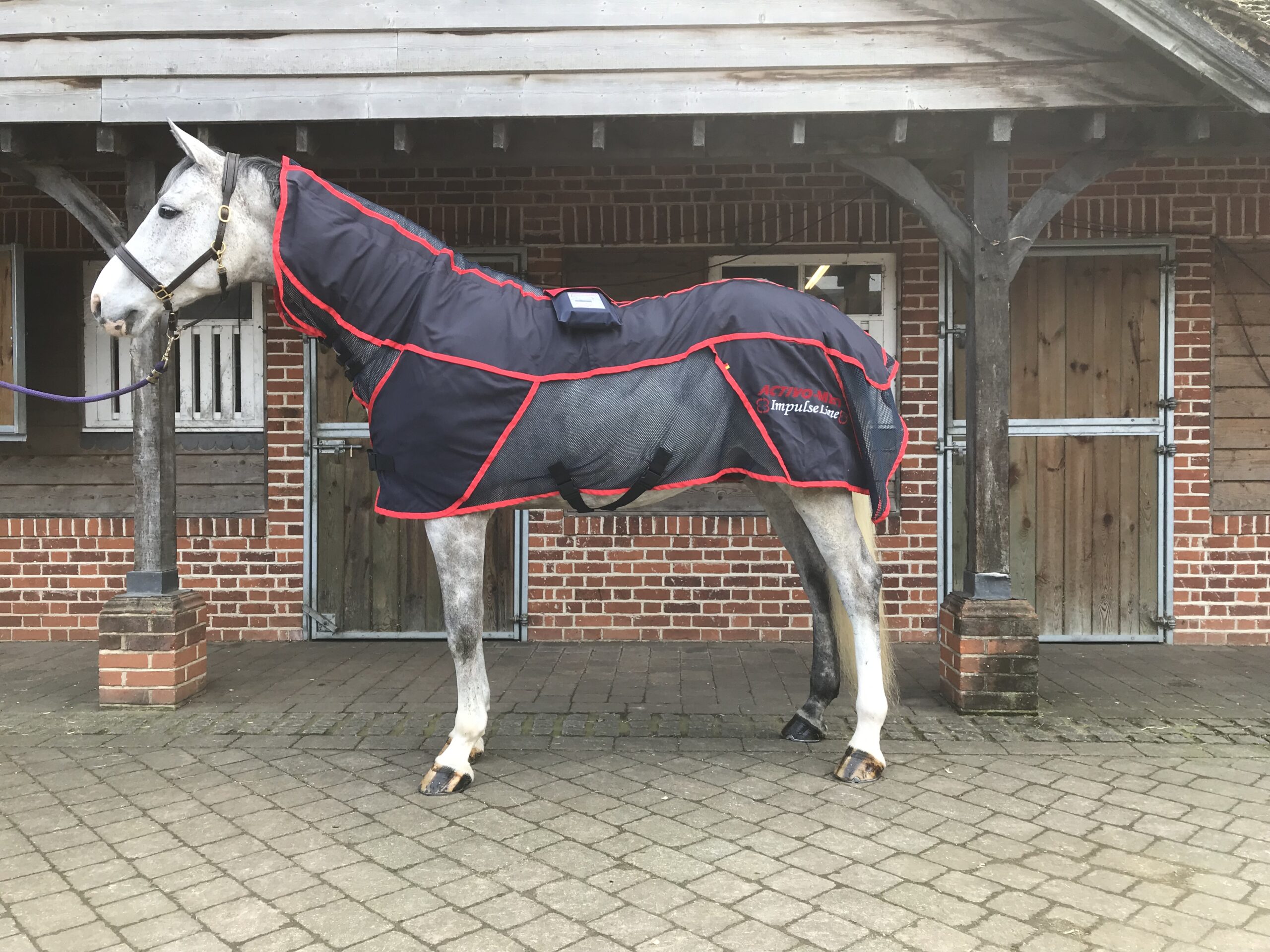 4 YEAR OLD COMBI PRO II BLANKET Reconditioned (PEMF & Massage) HORSE
