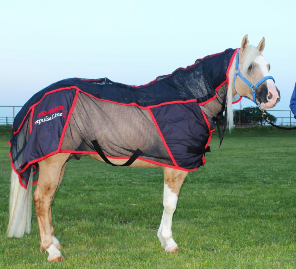 5 year old COMBI PRO I BLANKET Reconditioned (PEMF & Massage) HORSE