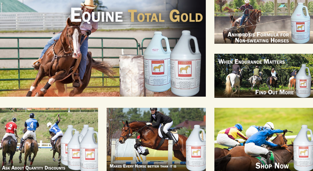 Equine Total Gold Supplement For Maximum Health and Performance!