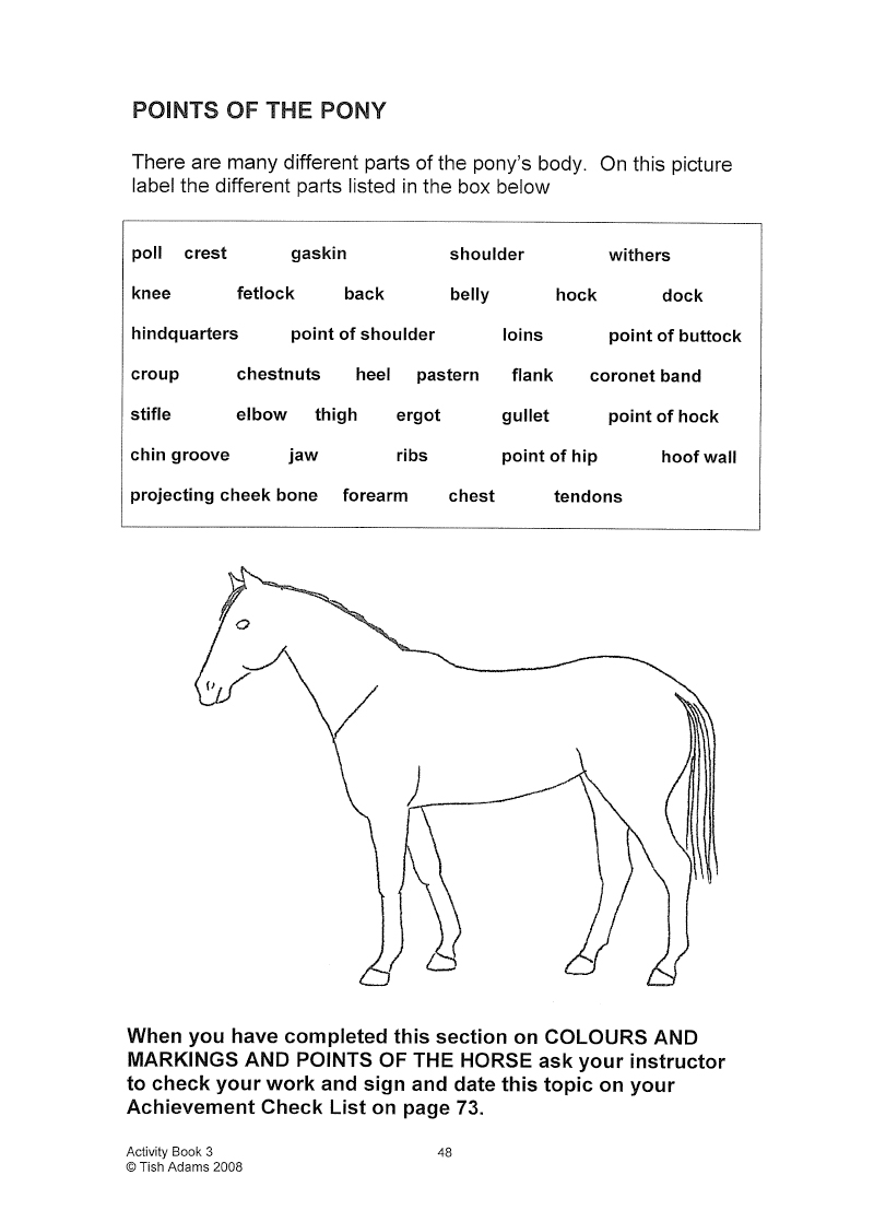 Activity Book 3 Equine Working Notebooks
