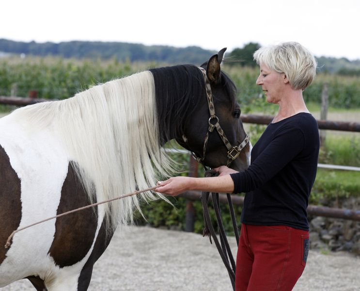 EquinoMobil Elke Schilling