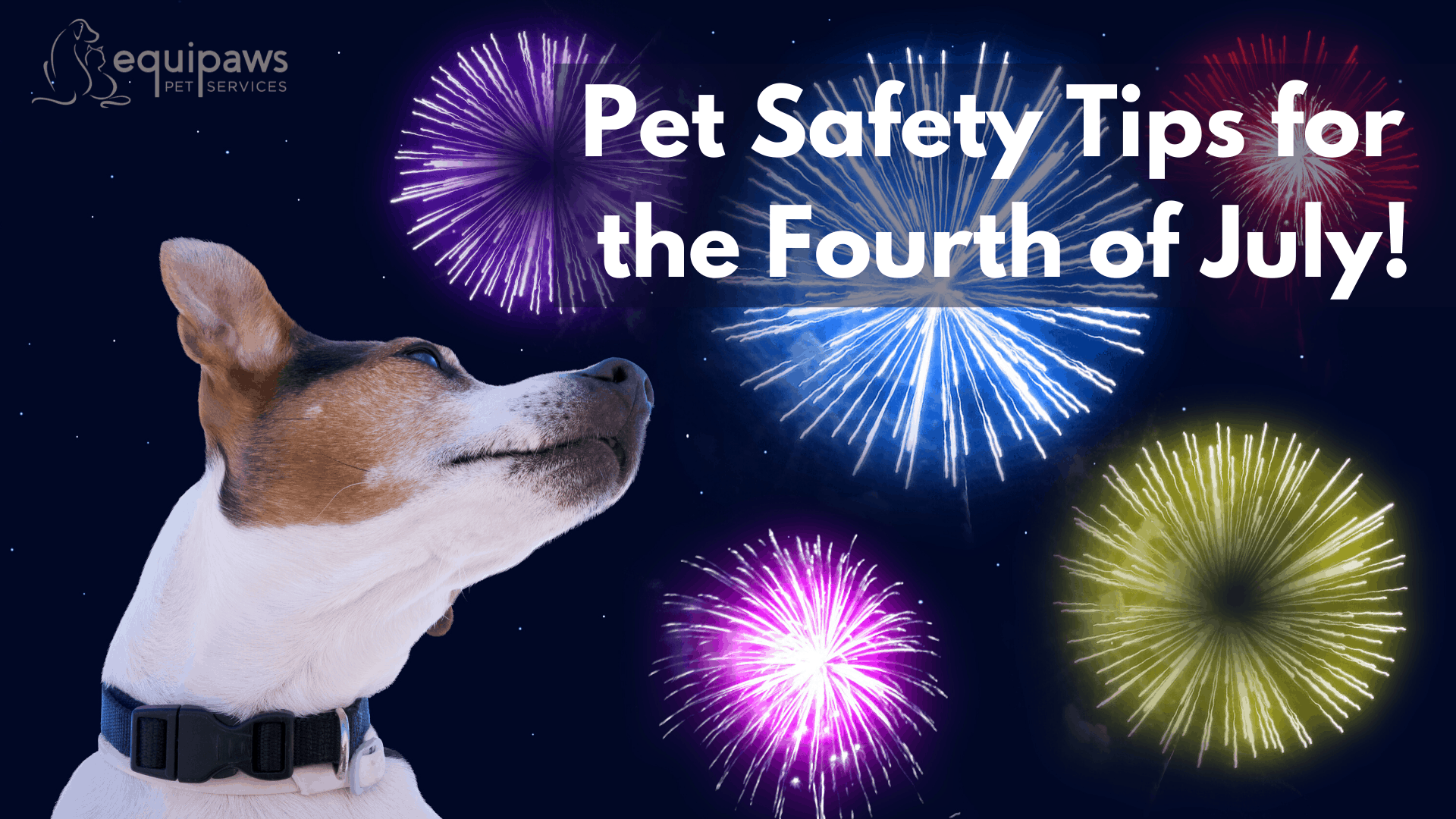 Can Dogs Take Xanax For Fireworks
