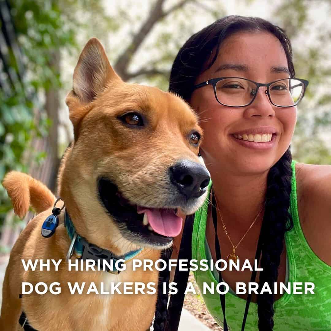 TopRated Dog Walking Services in Palmetto Bay & Pinecrest Why