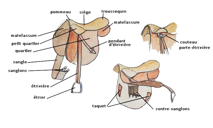 Sangler et Ressangler