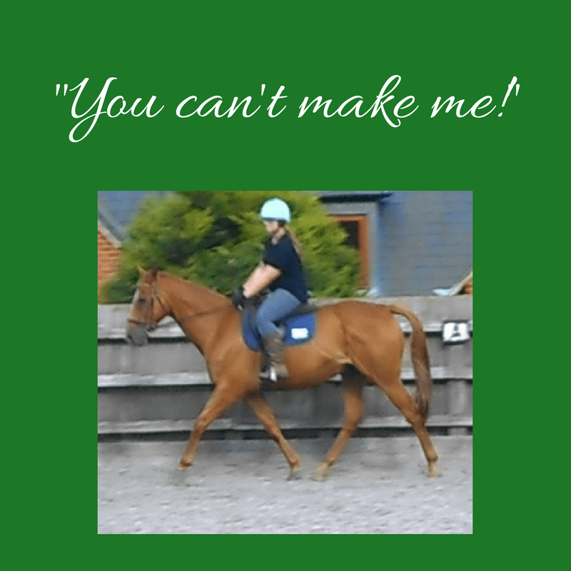 "You can't make me!" EquiPepper