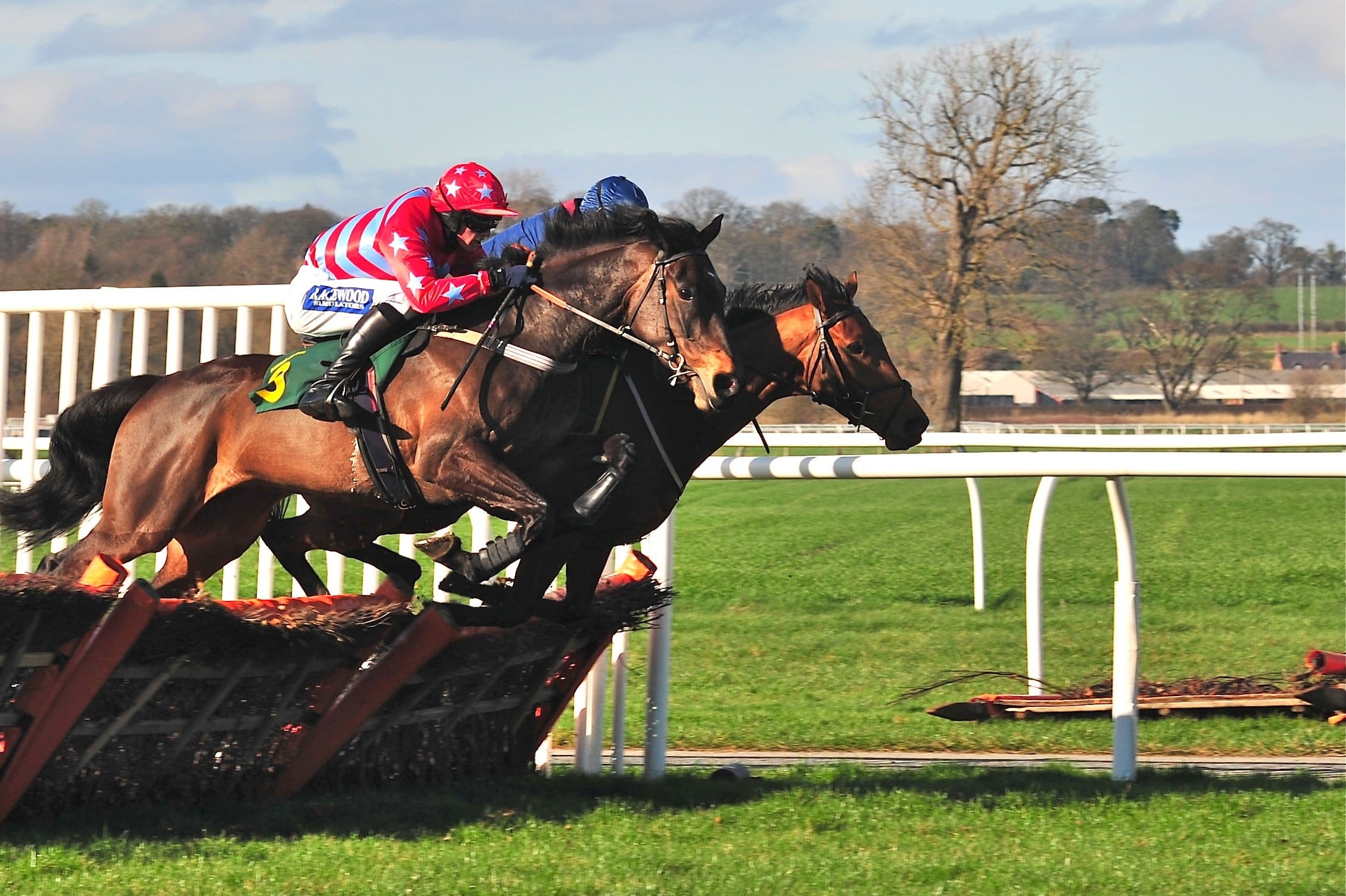 Jump Racing Returns to the UK EquiPepper