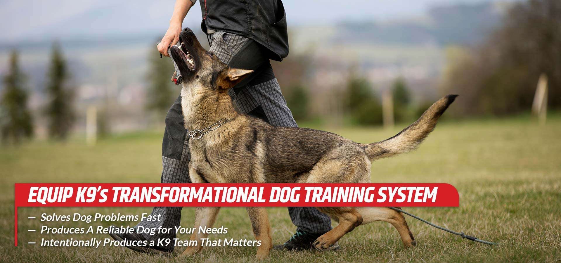 Premier Dog Trainer in New York and Iowa Equip K9