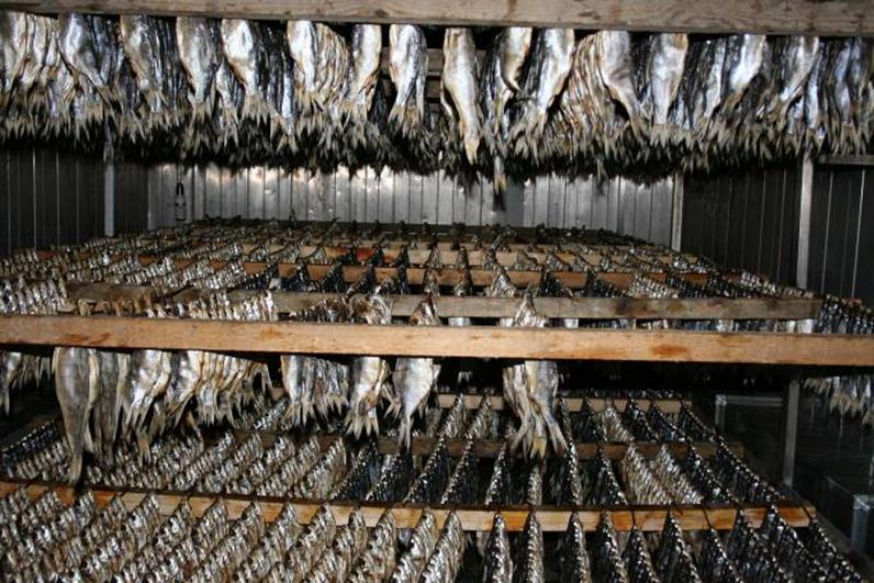 Equipment for drying fish. Drying Stream. Chambers of economyclass