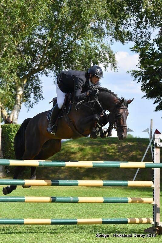 Cougar2012 Equisale Sport Horses