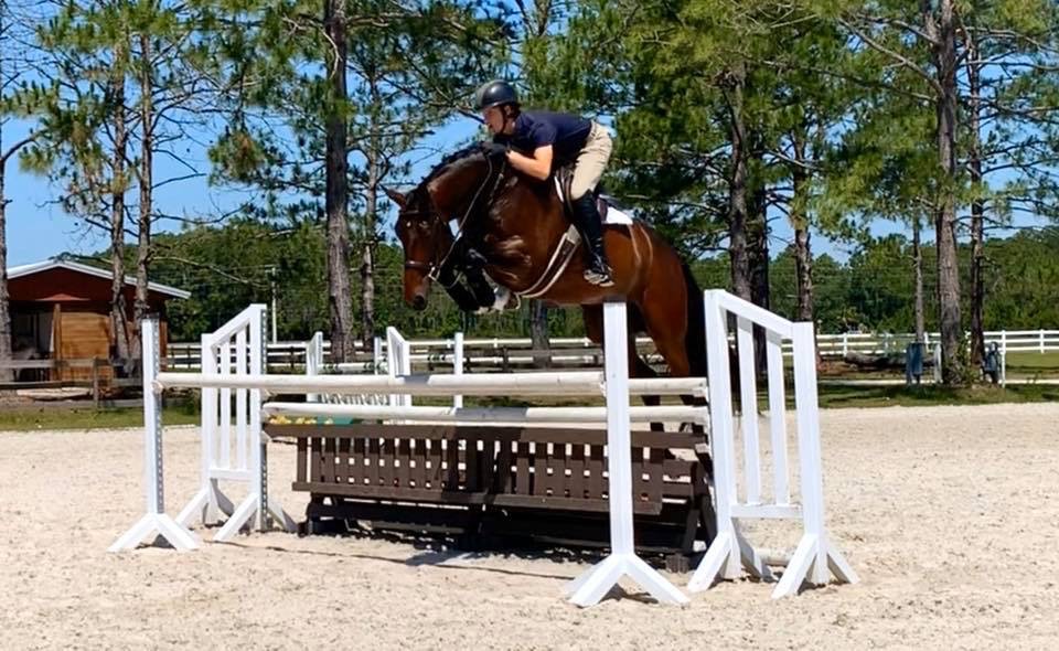 Cougar2012 Equisale Sport Horses